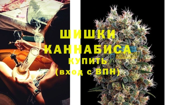 mdpv Горно-Алтайск