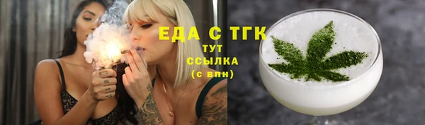 шишки Горняк