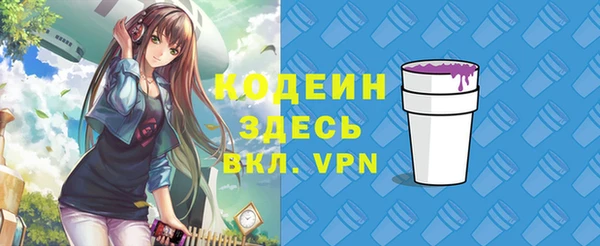 шишки Горняк