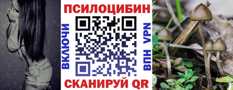 Галлюциногенные грибы Psilocybe  наркота  кракен вход  Кирсанов 